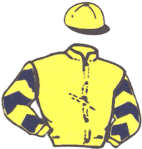 Dres jezdce stáje Wrbna Racing