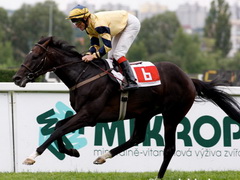 Arcibaldo v Derby 2009, 21.6.09