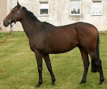 Big Six (IRE) 28.9.06