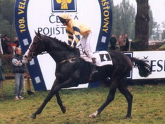 Diatelot - vítěz Cena Paramo a.s. - Memoriál R.Davise, 10.10.99