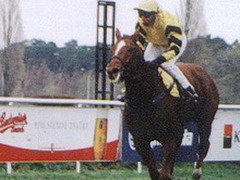 Duce v Pardubicích, 3.11.02