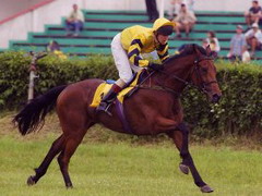 Red Dancer ve Zlatém poháru Paramo, 16.6.02
