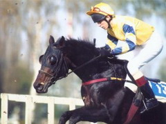 Křišťálový pohár Komerční banky, 14.10.01