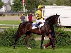 Treviso před Velkou jarni cenou, 18.5.03
