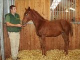 Ostler (GER*) Etzean 4.10.07