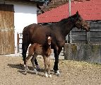 Arganta (GER), Anjou (GER*) Etzean 29.3.08