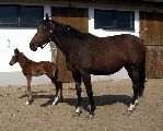 Arganta (GER), Anjou (GER*) Etzean 29.3.08