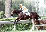 Bolszewik v Pardubicích, 8.5.02