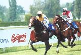 Diatelot - vítěz Velká cena Pardubických novin, 26.5.01