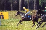 Handicap Mopos, s.r.o. Pardubice, 26.5.01