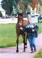 Lateran Pardubice