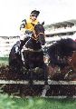 Nemorino v Pardubicích, 16.6.02