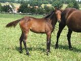 Regine (GER*) Etzean 24.7.08