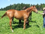 Oniris (GER*) Etzean 4.8.07