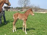 Ostler (GER*) Etzean 12.4.07
