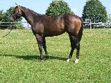 Pate (GER) 16.8.05