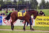 Red Dancer ve Zlatém poháru Paramo, 16.6.02