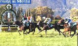 Registana v Meranu, 29.9.02