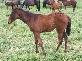 Regine (GER*) Etzean 29.5.08