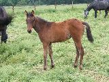 Regine (GER*) Etzean 29.5.08