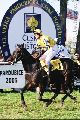 Vítězný finiš Registany ve Velké pardubické, 12.10.03