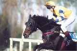 Křišťálový pohár Komerční banky, 14.10.01