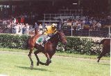 Sesi v Pardubicích, 26.5.01