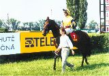 Sesi - 5. místo Zlatý pohár Paramo, 27.6.98