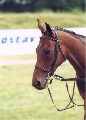 Sesi - 3. místo Zlatý pohár Paramo, 20.6.99
