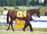 Sesi - 3. místo Zlatý pohár Paramo, 20.6.99