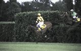 Pardubice 2000 - Toblino na Anglickém skoku, 18.6.00